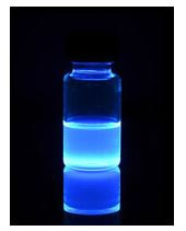 Fluorescent Nanocrystals