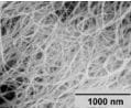 Carbon nanotubes, single-walled 1