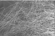 Silver nanowires, 5g/L in ethanol, 100 nm diameter 1