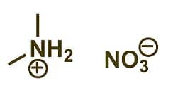 Dimethylammonium nitrate, >97% 1