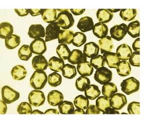 Nano Diamond Particles