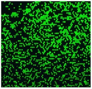 Zepto™ Mag Ultra Green Carboxyl Microspheres (2.5µm), 5ML 1