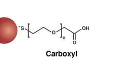 Carboxyl Gold Nanoparticles