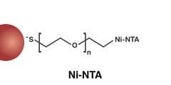 Ni-NTA Gold Nanoparticles