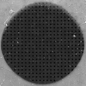 Graphene Oxide on Substrate