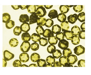 Nano Diamonds Extra-pure 1