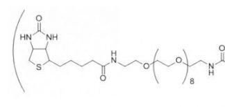 peg-Biotin-disulphide