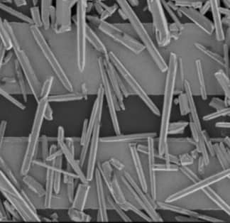 Zinc Oxide nanowires