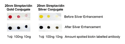 Silver Enhancement Kit for Membranes