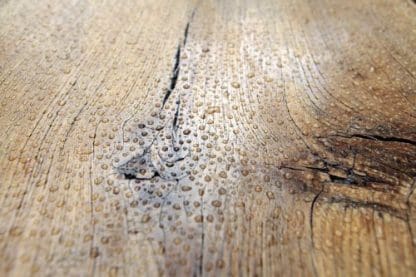 Smart Coatings for Timber 1
