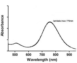  Gold Nanorods