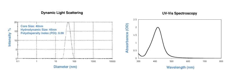 40nm Endotoxin Free Silver Nanoparticles