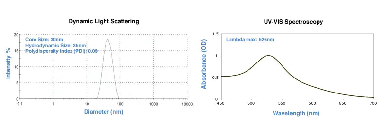 30nm Reactant Free Gold Nanoparticles