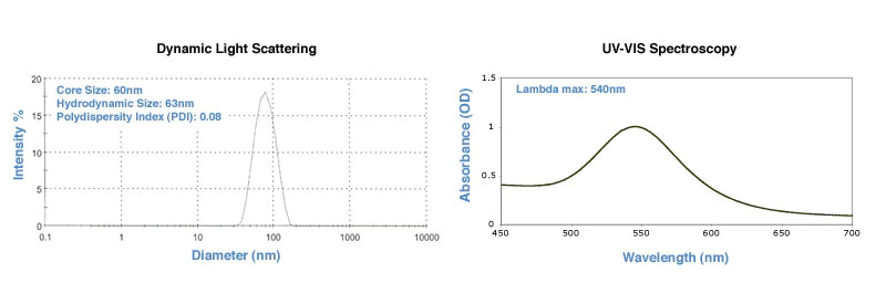 60nm Reactant Free Gold Nanoparticles