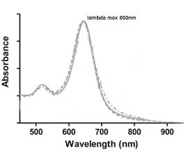 Methyl Gold Nanorods