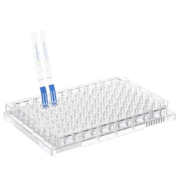 Mouse IgG Fc Lateral Flow Dipstick Assay Kit 1