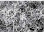 Multiwalled Carbon Nanotube